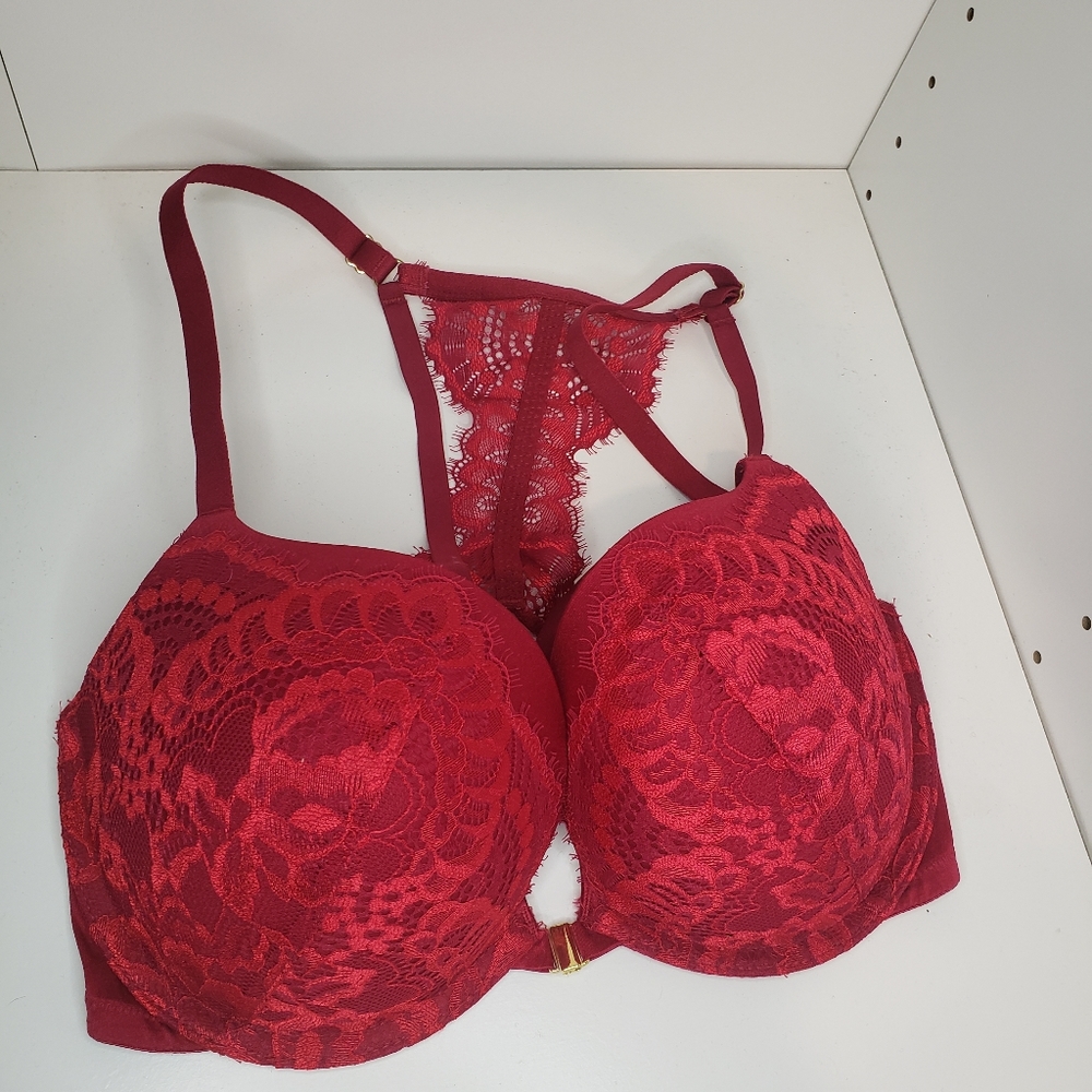 Euc 32DD beyond sexy la senza bra
